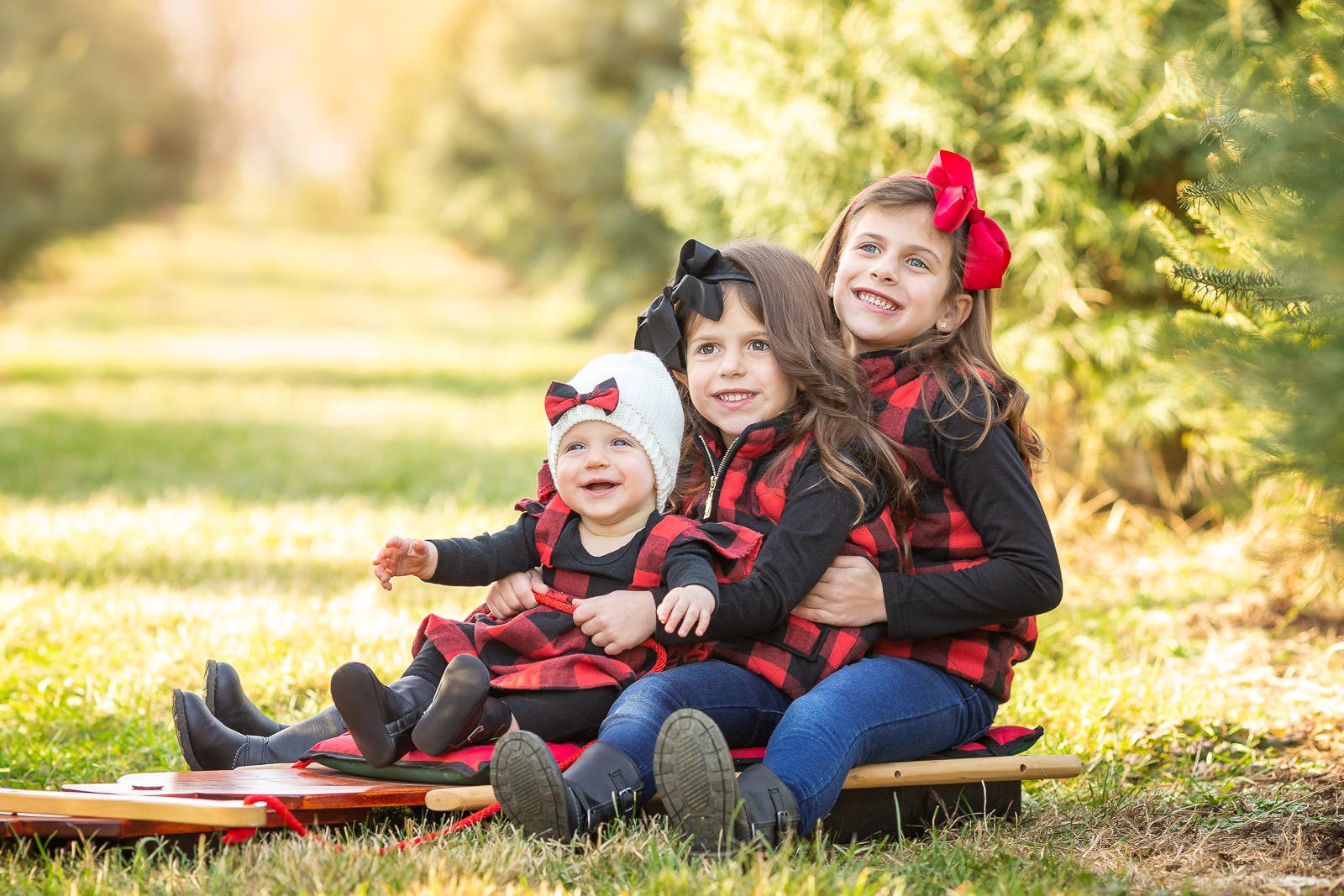 Tree Farm Family Sessions